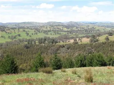 Main view of Homely rural property listing, 675 Middle Creek Road, Yarck VIC 3719