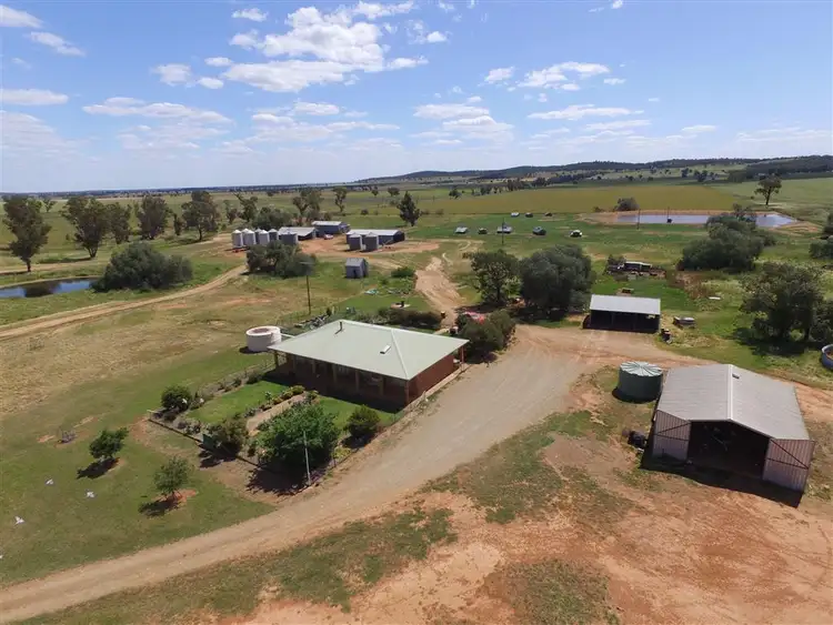 Sixth view of Homely rural property listing, 418 Keiths Lane, Forbes NSW 2871