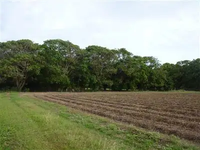 Main view of Homely land listing, L46 Kennedy Street, Ayr QLD 4807