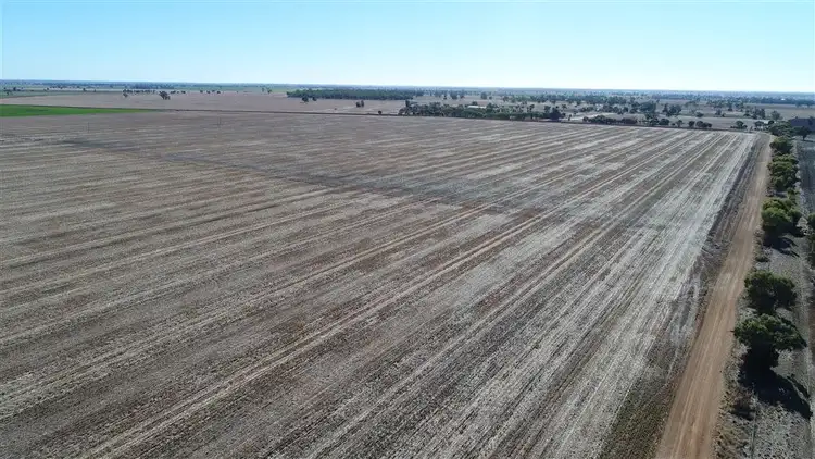 4978 Mitchell Highway, Narromine NSW 2821