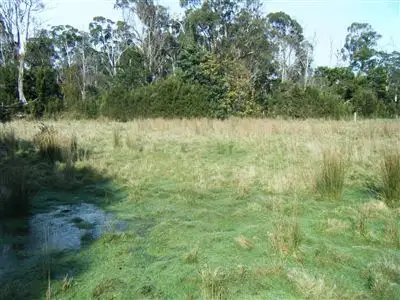 Main view of Homely land listing, 24 Foreshore Road, Swan Point TAS 7275