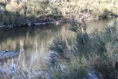 Main view of Homely rural property listing, 46 Krawarree Road, Braidwood NSW 2622