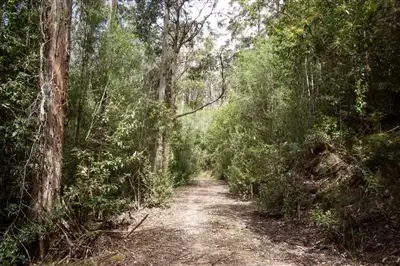 Main view of Homely land listing, - Constance Road, Cygnet TAS 7112