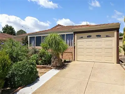 Main view of Homely house listing, 14A Park Lane, Kardinya WA 6163