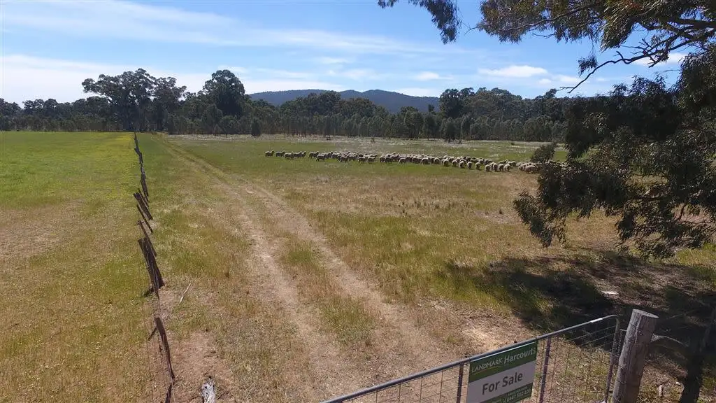 Main view of Homely rural property listing, C/a1A & 1B Work Road, Landsborough VIC 3384