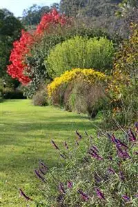 Fourth view of Homely rural property listing, 870 Pages River Rd, "West Creswell", Murrurundi NSW 2338
