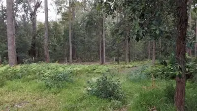 Main view of Homely land listing, 8A Colden Place, Ulladulla NSW 2539
