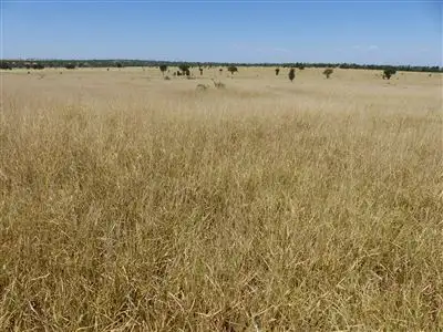 Sixth view of Homely rural property listing, Address available on request