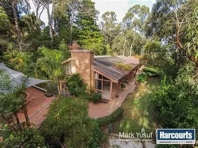 Fifth view of Homely house listing, 43 Terrys Avenue, Belgrave VIC 3160