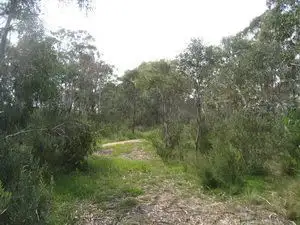 Second view of Homely rural property listing, Lot 4 Cooma Road, Braidwood NSW 2622