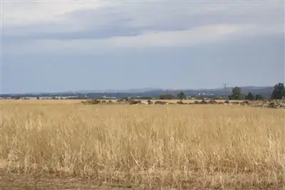 Main view of Homely rural property listing, 9R Mendoran Rd, Dubbo NSW 2830