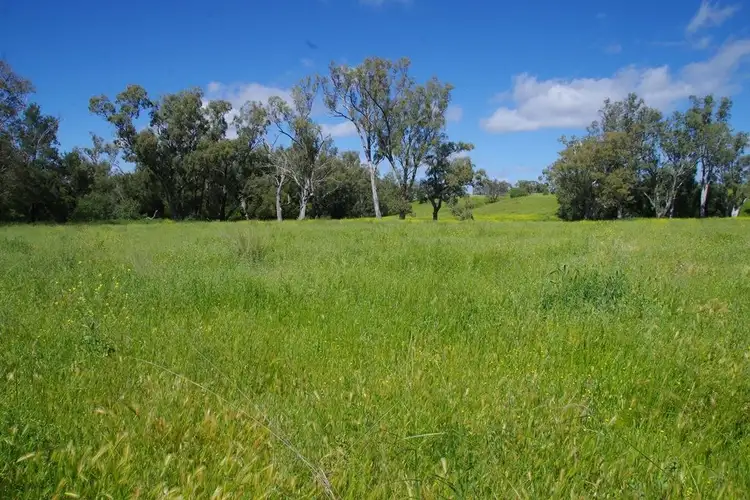 Fourth view of Homely rural property listing, 1131 Timor Mountain Road, Narrabri NSW 2390