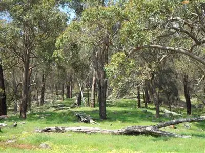 Fifth view of Homely land listing, 279 Days Road, Boddington WA 6390