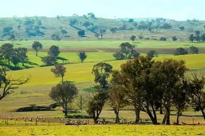 Fourth view of Homely rural property listing, 198 Connells Lane 'Dowan Hill', Yass NSW 2582