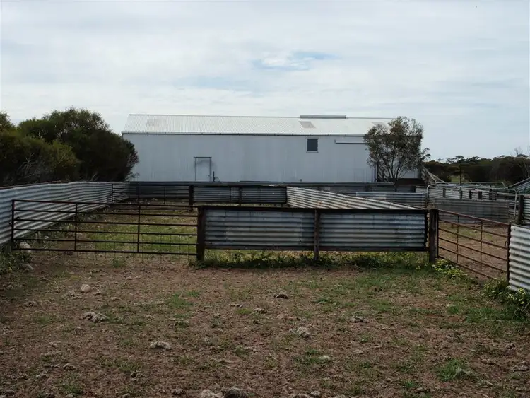 Second view of Homely rural property listing, 4186 Pt Kenny Road, Minnipa SA 5654