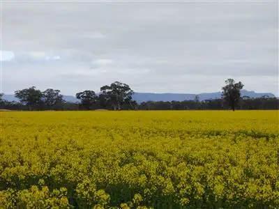 Main view of Homely rural property listing, . Ashens Cemetery Road, Wal Wal VIC 3381