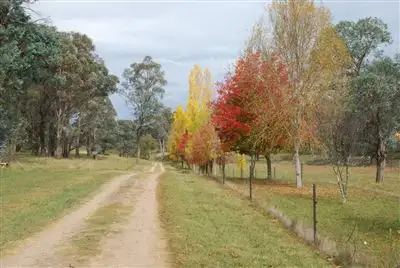 Seventh view of Homely rural property listing, 3339 Niangala Road, Walcha NSW 2354