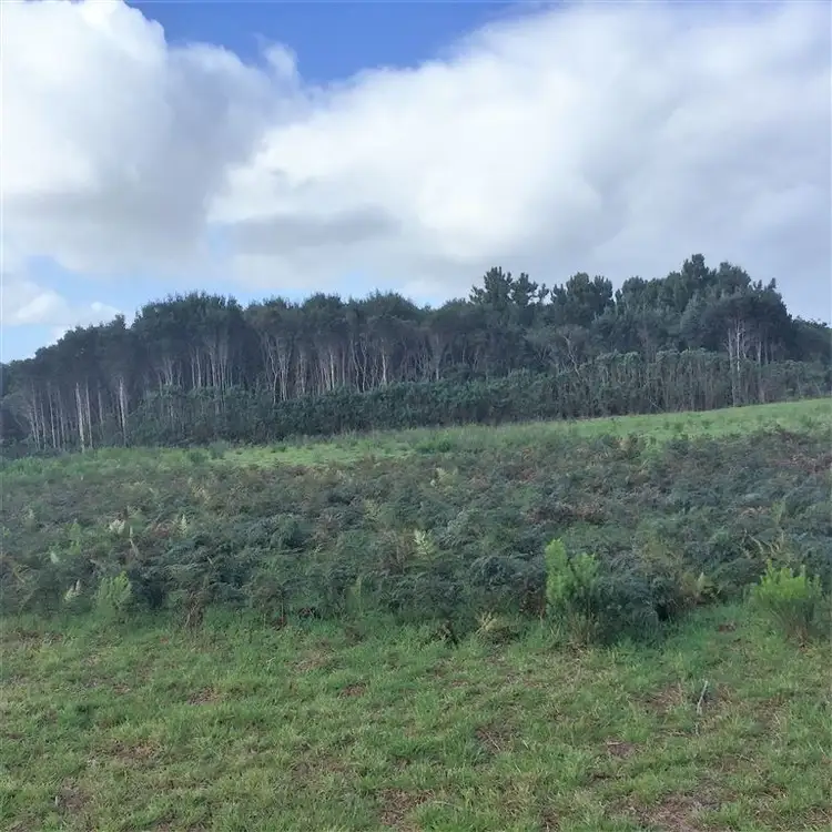 Third view of Homely land listing, 10 Stephenson Street, Naracoopa TAS 7256