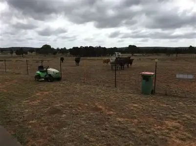Sixth view of Homely rural property listing, 296 Fernleigh Drive, Goulburn NSW 2580