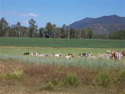 Sixth view of Homely rural property listing, Address available on request