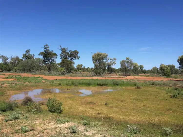 Sixth view of Homely rural property listing, " Nidgery Downs", Nyngan NSW 2825