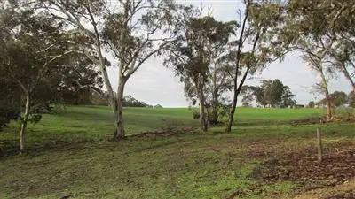 Second view of Homely rural property listing, Lot 11 Harvey's Quarry Road, Williamstown SA 5351
