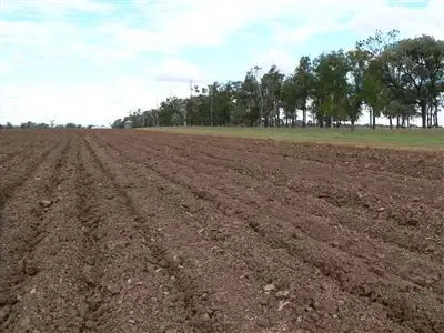 Fifth view of Homely rural property listing, . "Boolara", Meandarra QLD 4422