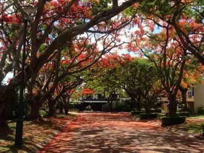 Main view of Homely house listing, 5 Burmel Street, Robertson QLD 4109