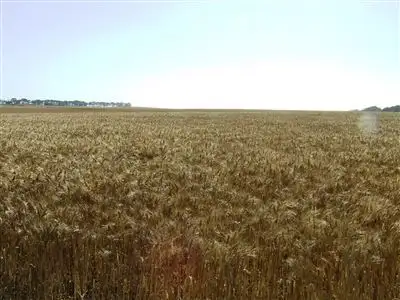 Main view of Homely rural property listing, Address available on request