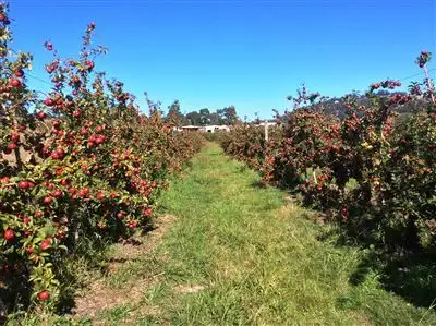 Fifth view of Homely rural property listing, 15 Sheffield Road, Spreyton TAS 7310