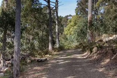 Fifth view of Homely land listing, 106 Vinces Saddle Road, Lower Longley TAS 7109