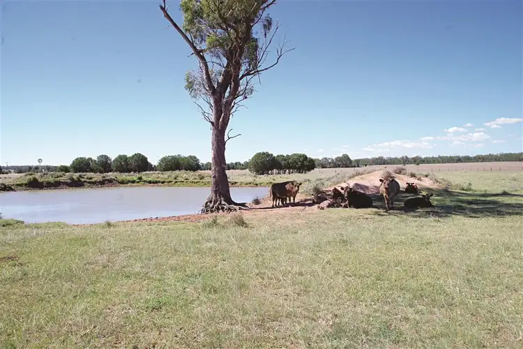 170 Airport Road, Narrabri NSW 2390