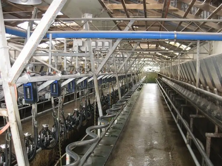 Third view of Homely rural property listing, 976 Montagu Road, Smithton TAS 7330