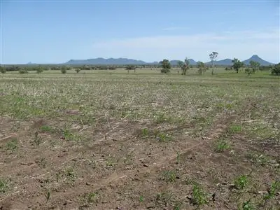 Fifth view of Homely rural property listing, " Boonal Downs", Capella QLD 4723
