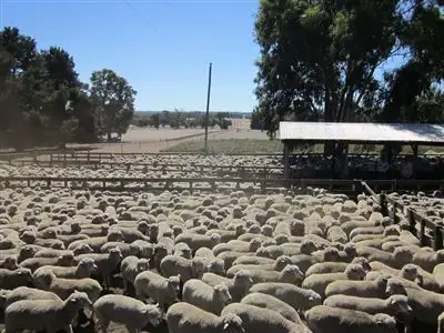 Second view of Homely rural property listing, 750 Kybellup Rd, Frankland WA 6396