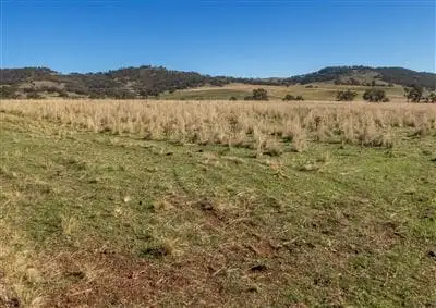 Fourth view of Homely rural property listing, 1300 Warrah Creek Road, Willow Tree NSW 2339