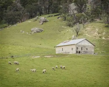 Sixth view of Homely rural property listing, 2080 Euroa - Mansfield Road, Euroa VIC 3666