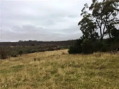 Main view of Homely rural property listing, . North Ansons Road, Ansons Bay TAS 7264