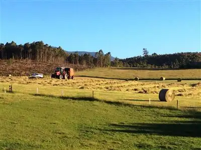 Fourth view of Homely rural property listing, 126 Denison Gorge Road, Lebrina TAS 7254