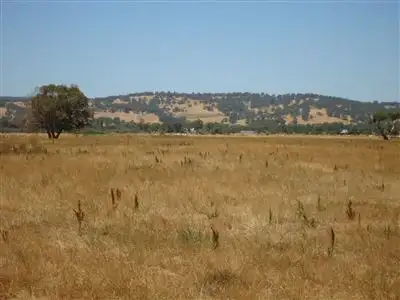 Sixth view of Homely rural property listing, 479 Campbell Road, Benger WA 6223