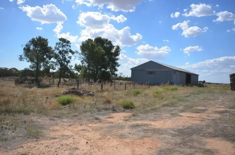 Main view of Homely rural property listing, 6783 Billiatt Road, Lameroo SA 5302