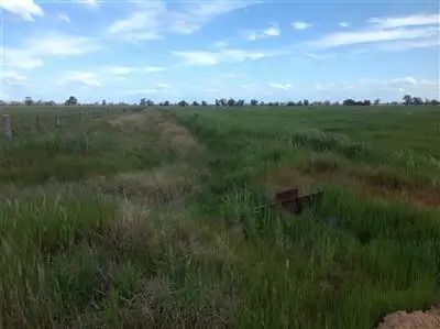 Third view of Homely rural property listing, . Redlands Road, Corowa NSW 2646
