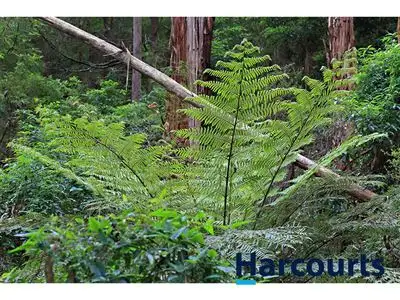Fifth view of Homely rural property listing, 1717 Main Neerim Road, Neerim South VIC 3831