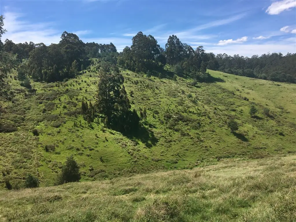 Main view of Homely land listing, 460 Forsters Rivulet Road, Lymington TAS 7109