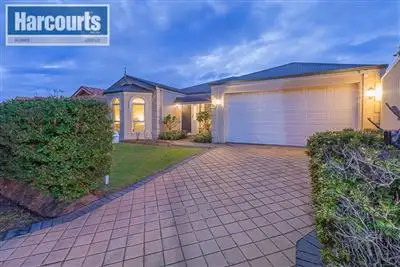 Main view of Homely house listing, 14 Stormbird Loop, Currambine WA 6028