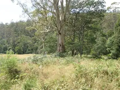Main view of Homely land listing, - Alberton Road, Alberton TAS 7263