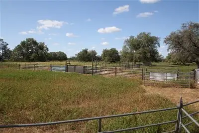 Sixth view of Homely rural property listing, 12505 Merri Merri Rd, Coonamble NSW 2829