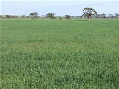. Hiscocks Road, Netherby, Nhill VIC 3418