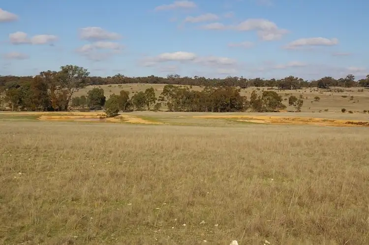 Main view of Homely rural property listing, . Morrl Morrl Forest Rd, Morrl Morrl VIC 3387