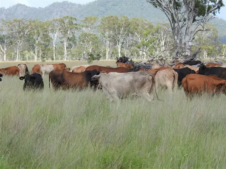 Fifth view of Homely rural property listing, Address available on request